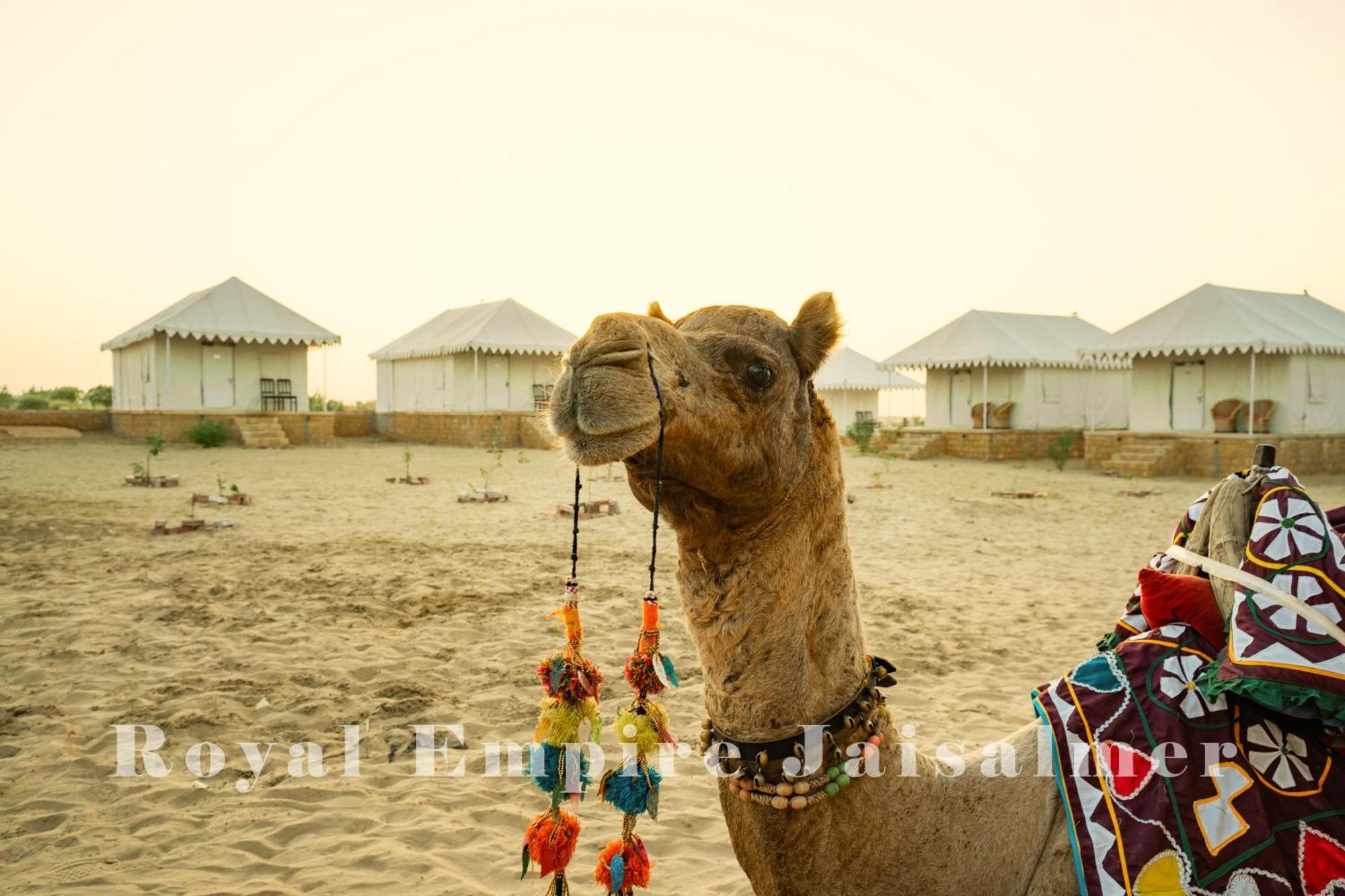 Appartement avec 6 chambre Jaisalmer Extérieur photo